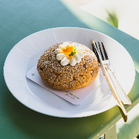 شوکت  وانیل